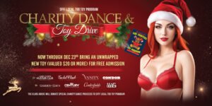 generic_ToyDrive2_website