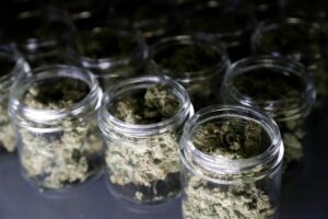 AP_marijuana_121520-ezgif.com-webp-to-jpg-converter